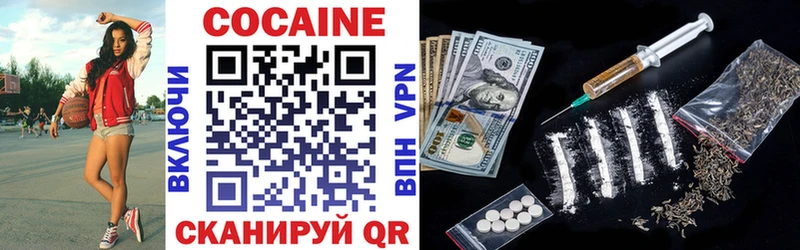 COCAIN FishScale  Купить закладки  Дедовск 