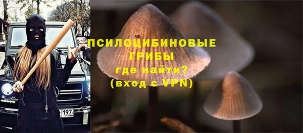 шишки Коряжма