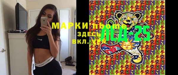 шишки Коряжма