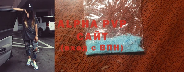 шишки Коряжма