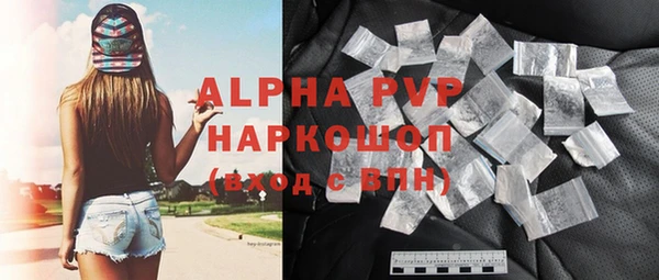 шишки Коряжма