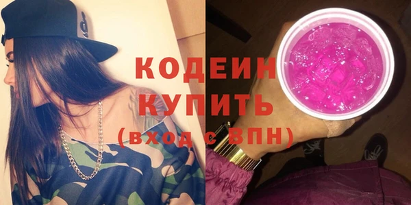 шишки Коряжма