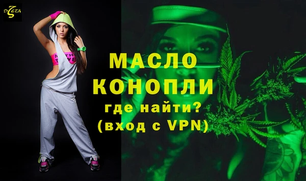 шишки Коряжма